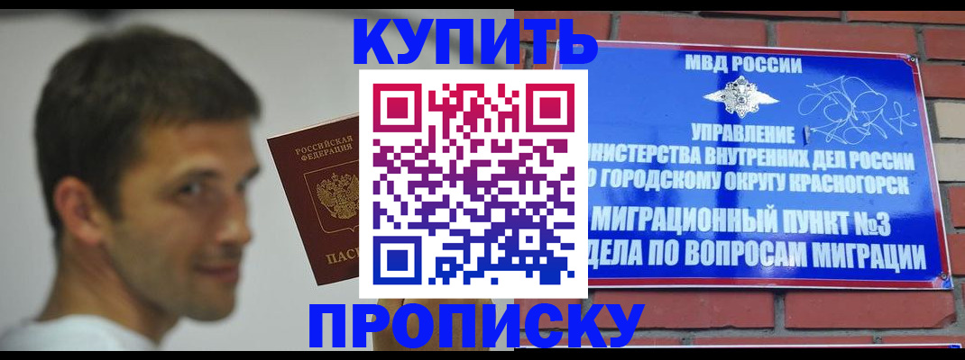 временная регистрация 2025 в Зее